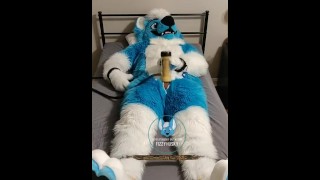 Murrsuiter Takes A Sip Of His Own Milk