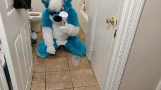 Fizzy Reuses His Poop