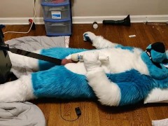 Fizzy tortures his balls with a robospanker - Screenshot 14 of 16 - Murr
