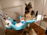 Preview 2 of Getting knotfucked in the sling by a hung shep