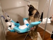 Preview 6 of Getting knotfucked in the sling by a hung shep