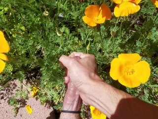 Stop to smell the flowers