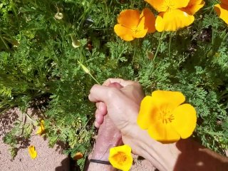 cock ring, garden, flowers, solo masturbation