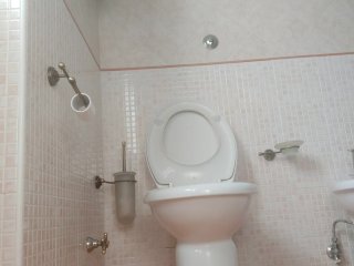 fetish, pee, toilet, solo female