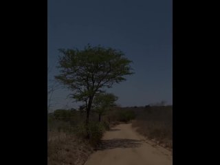 Double blowjob in public shower in South Africa - MySexMobile screenshot number 0