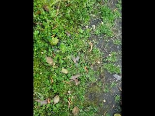 Dirty feet for my slaves