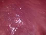 Internal View Large Bad Dragon Flint Reams And Cums In My Ass
