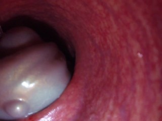 内部视图 Large Bad Dragon Flint Reams and Cums in my Ass