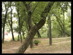 Откровенно и публично насцала - Screenshot 4 of 16 - Pissing