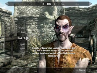 masturbate, 1080p 60 fps, sfw,  skyrim hentai