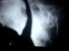 shadow dancing - Screenshot 16 of 16 - Strip