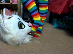 Nori gets to Taste My Rainbow Toes