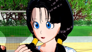 Dragon Ball Z - Videl 3D Hentai