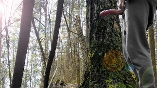 AUF DEM WEG ZUR SCHULE MASTURBIERT EIN MANN IM WALD FÜR SEINE ABONNENTEN