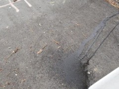 Marking My territory