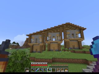 minecraft lets play, farming, building, point of view