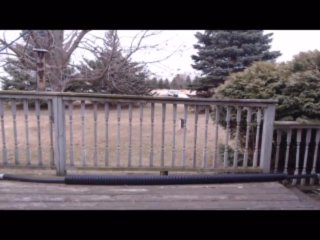 Locked out of the house and pissed in my jeans