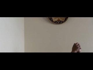 solo JO with my mouth toy