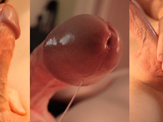 ASMRの音、汚れたズキズキ、亀頭が滴る尿道球腺液でポンピングでエッジング