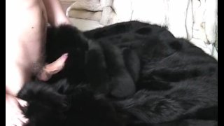 Poor fur