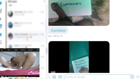 cumtribute | vente en Calia Qadehs | un dia en twitter