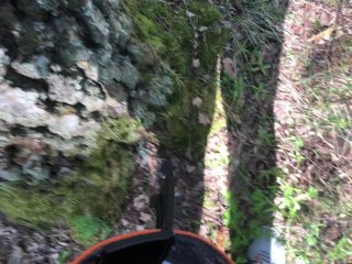 ДРОЧУ В ЛЕСУ ПОКА НИКТО НЕ ВИДИТ