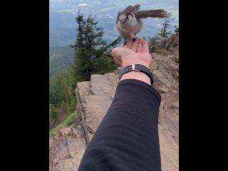 blow job, nerdy faery, sexy girl, mountain top head