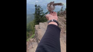 Natur BJ mit nerdiger Fee