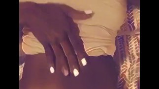 爸爸的猫戏