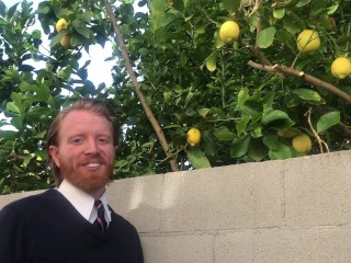 Non Rubo i Limoni Dall'albero Di Limoni Di Qualcun Altro