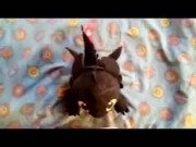Dragon Toothless Plush in Head 2