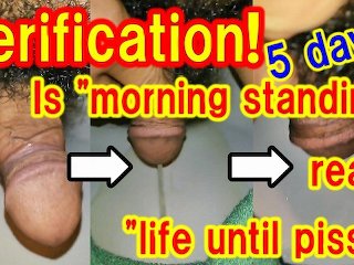 morning erection, exclusive, solo male, japanese