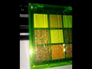 Jasmyne Eyeshadow Palette - Neon  (B)