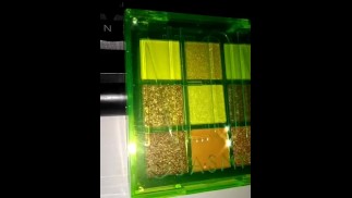 Jasmyne Eyeshadow Palette - Neon | (B)