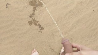 Curiuskinkycouple Fazendo Xixi Em Uma Praia De Nudismo