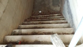 Высвобождаю свой золотой нектар у подножия жуткой лестницы