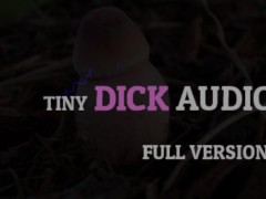 Tiny Dick Audio Full Version - Screenshot 5 of 16 - Small Penis