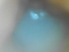 Petite Doll Sexy Uniform: Internal Camera