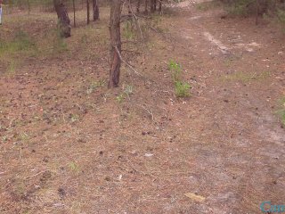 PLEEEEEEASE CUM IN ME