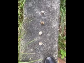 Mushroom stomp with me ) you’re the mushroom baby