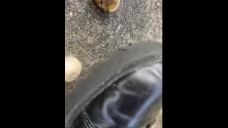 蘑菇和我一起踩;)你是蘑菇宝宝