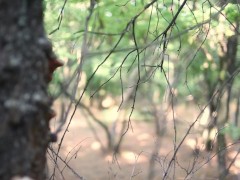 Video CAUGHT IN THE WOODS - Masturbating Girl Caught by a Stranger and Creampied