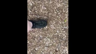 肮脏的运动鞋踩在公园里的松果上