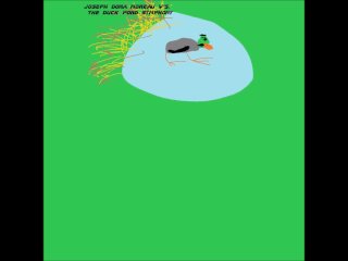 THE DUCK POND SYMPHONY