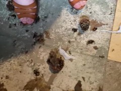 Perfect pine cones - Screenshot 13 of 16 - High Heels Crush