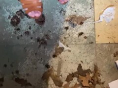 Perfect pine cones - Screenshot 15 of 16 - Sexy Crush Heels