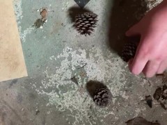 Perfect pine cones - Screenshot 2 of 16 - Crush Fetish