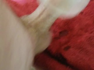 Between_Quarantine, and a Curfew, Let's_Just Stay in and Fuck