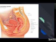 йони-массаж и сквирт. теория. #2 03jun2020 - Screenshot 7 of 16 - Anzol