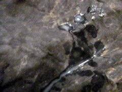 B.B.B. F.U.C.V. 01: Jennifer Stone "Totally Missed Pop 4a.m."AVI no slomo